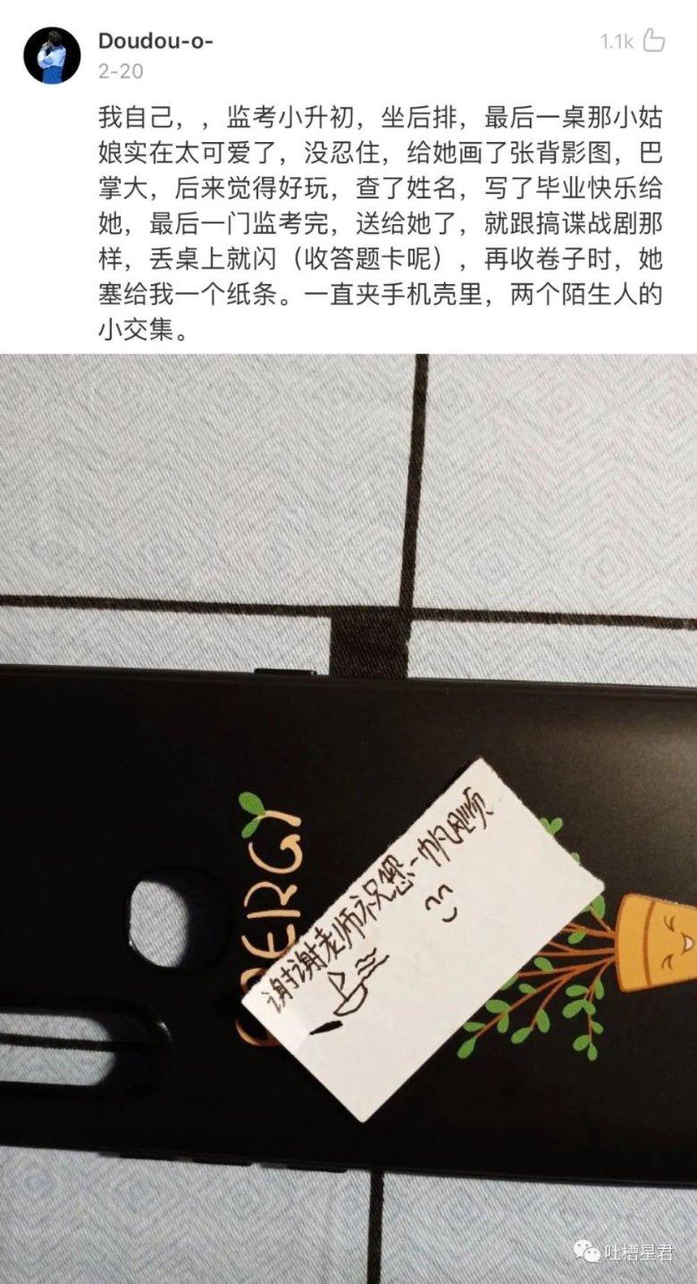 救援白色小猫