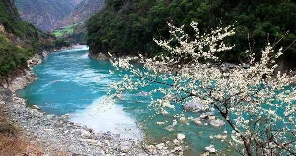 东营市东营区：翰墨飘香迎新春 祝福送进千万家