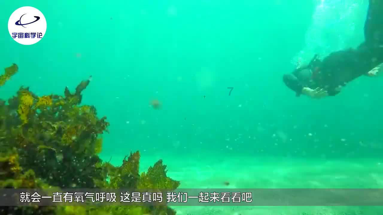 美图秀秀下载2023最新版