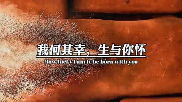 海盗寻宝记