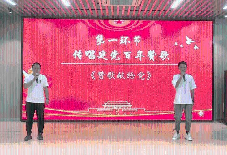 寻找萌宠松鼠