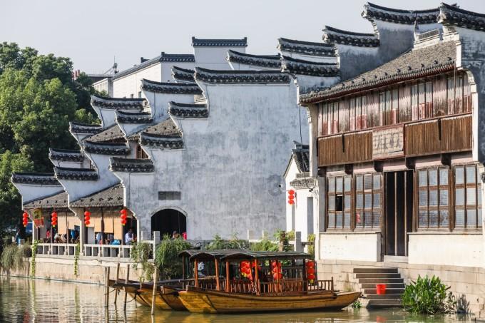动物帮帮忙保卫家园