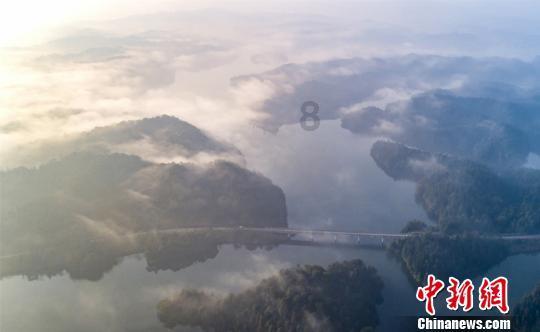 探探猫历险记2